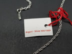Baccarat Crystal Louxor Necklace Silver Mist Mirror Diamond Cut  22" Chain NEW3