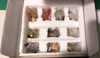Lenox Garden Birds 10 Miniature Ornaments with Tree Blue Jay Robin Cardinal NEW8
