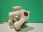 Lenox 2019 Peanuts Snoopy Dog Treats Ornament With Woodstock Bones Christmas NEW2