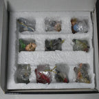 Lenox Garden Birds 10 Miniature Tree Ornaments Finch Blue Jay Robin Cardinal NEW6