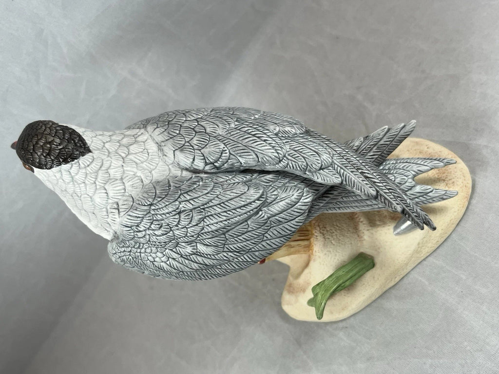 Lenox Common Tern Sea Bird Figurine Perched On Drift Wood Beach Red Beak COA NEW4