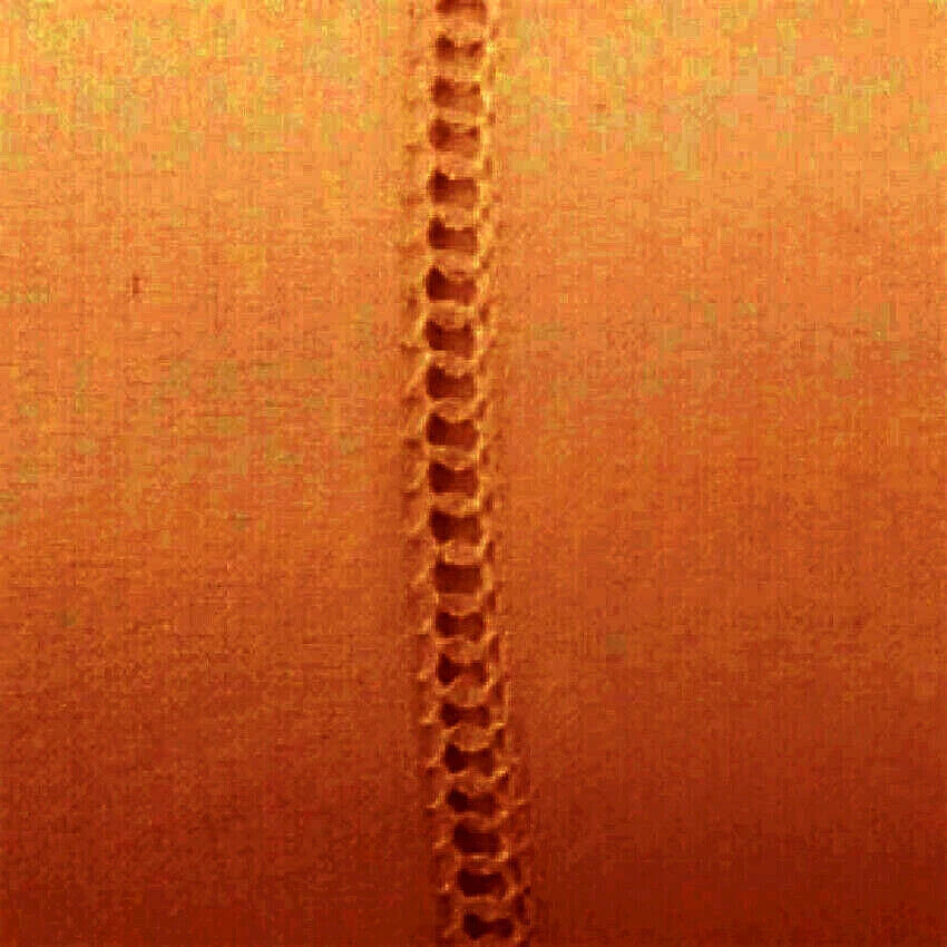 Sferra Celeste Orange King Pillow Sham Paprika Egyptian Cotton Percale Italy NEW5