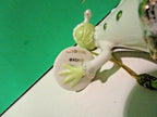 Lenox Grinch Serves The Feast Figurine Ornament Dr Seuss Who Stole Christmas NEW7
